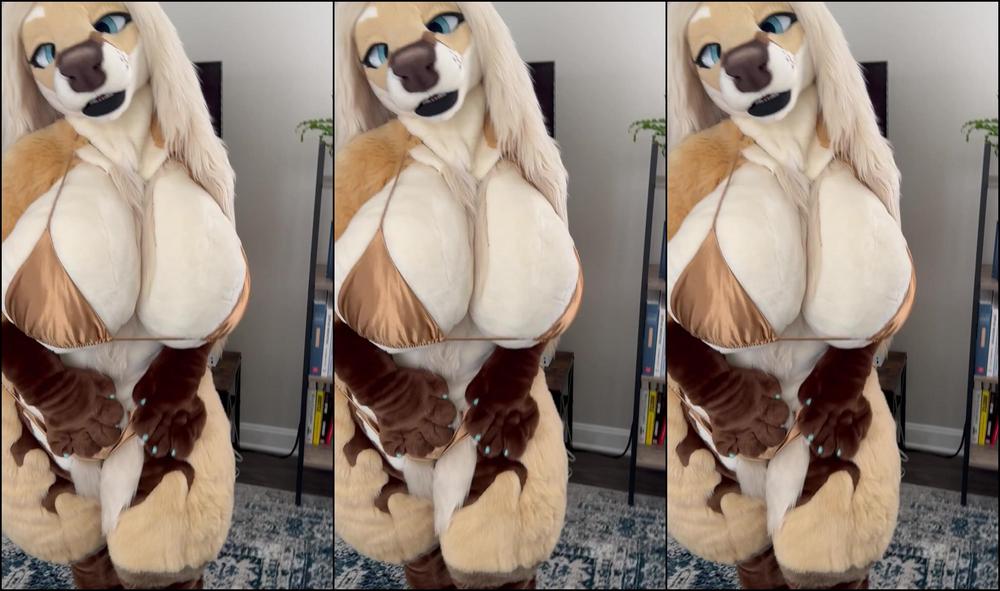 Angel Pups 1629381200 Sneak Peek At A Fun New Celine Video She Does Seem To Have 01 0I00Qyhnc6Qa6Rsiy6Jt7 Source