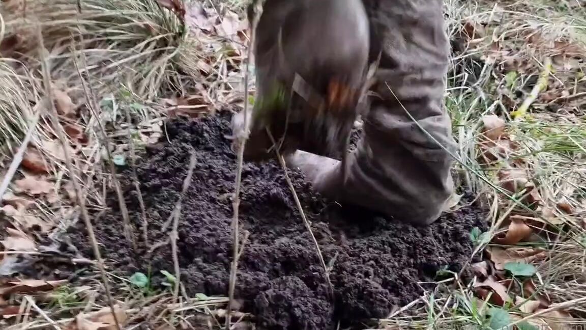 Kats Worn Heels Nicknamed Katswornheels Onlyfans I Dont Think They Are Dirty Enough Yet Do You Lets Try A Bit Harder