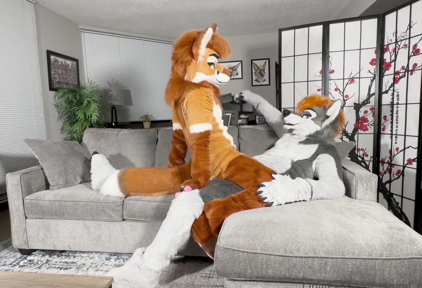 Angel Pups 766651599 Been Racking Up The Miles On This Couch 01 1Edce2B5 9891 4774 944B 0A2Ad9Edfc45