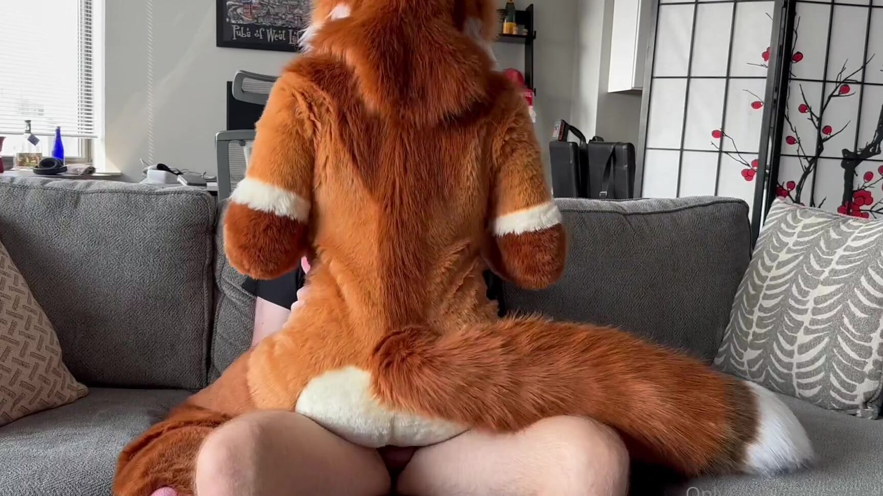 Angel Pups 1269532856 Happy Full Video Friday Looks Like Mocha Found Another Hu 01 0Htlp8Fj8Np1Thbyqonxk Source