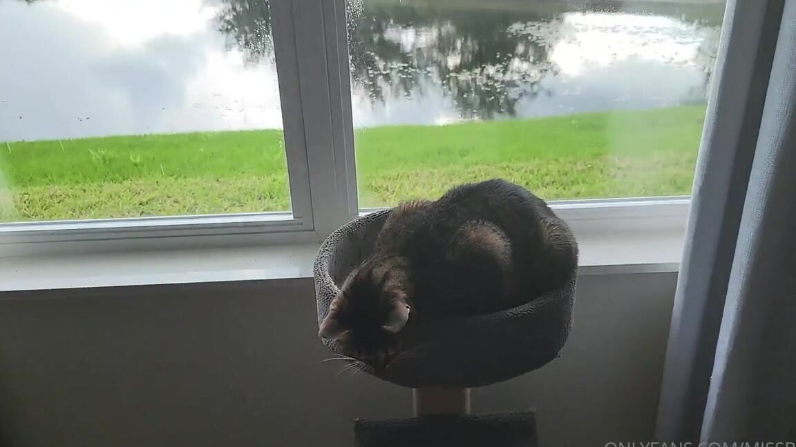 Missbella Onlyfans It Didnt Post With The Memoir Oh Well I Will Let Onlyfans Work The File And It Will Be Posted