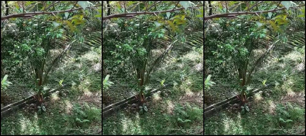 Gina Carla Nicknamed Ginacarla Onlyfans Bts3