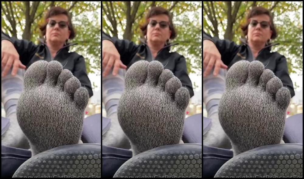 Catprincessfeet Onlyfans Always Feets 2