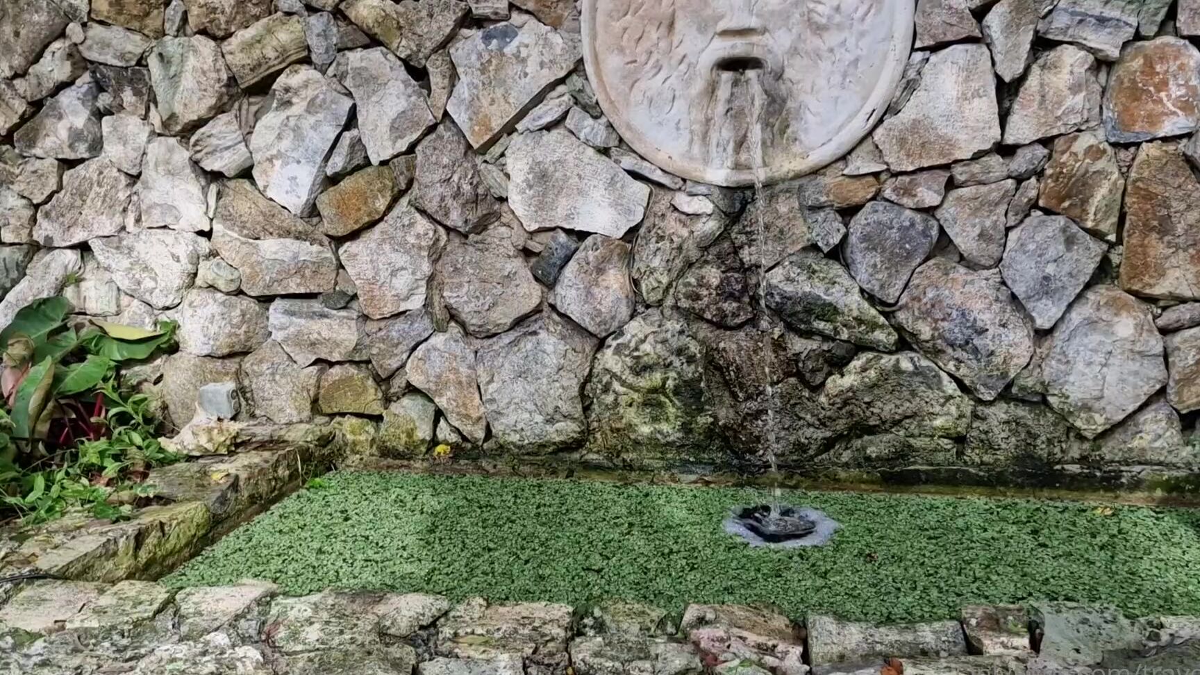 Travelling Peach 3059012036 10 22 2023 Rising Early For Breakfast After A Late Night Is Never An Easy Thing To Do But