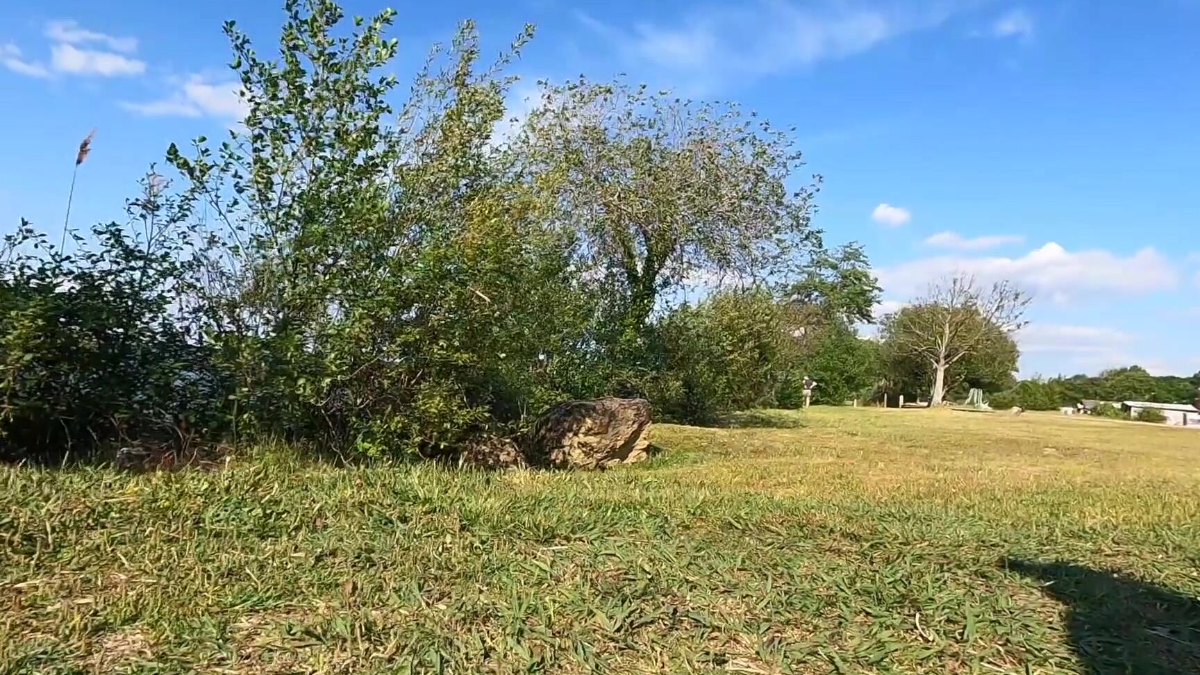 Она Хочет Секса Моя Девушка Дрочит Незнакомцу На Общественной Скамейке Я Эякулирую Люди Смотрят Pornhub Com