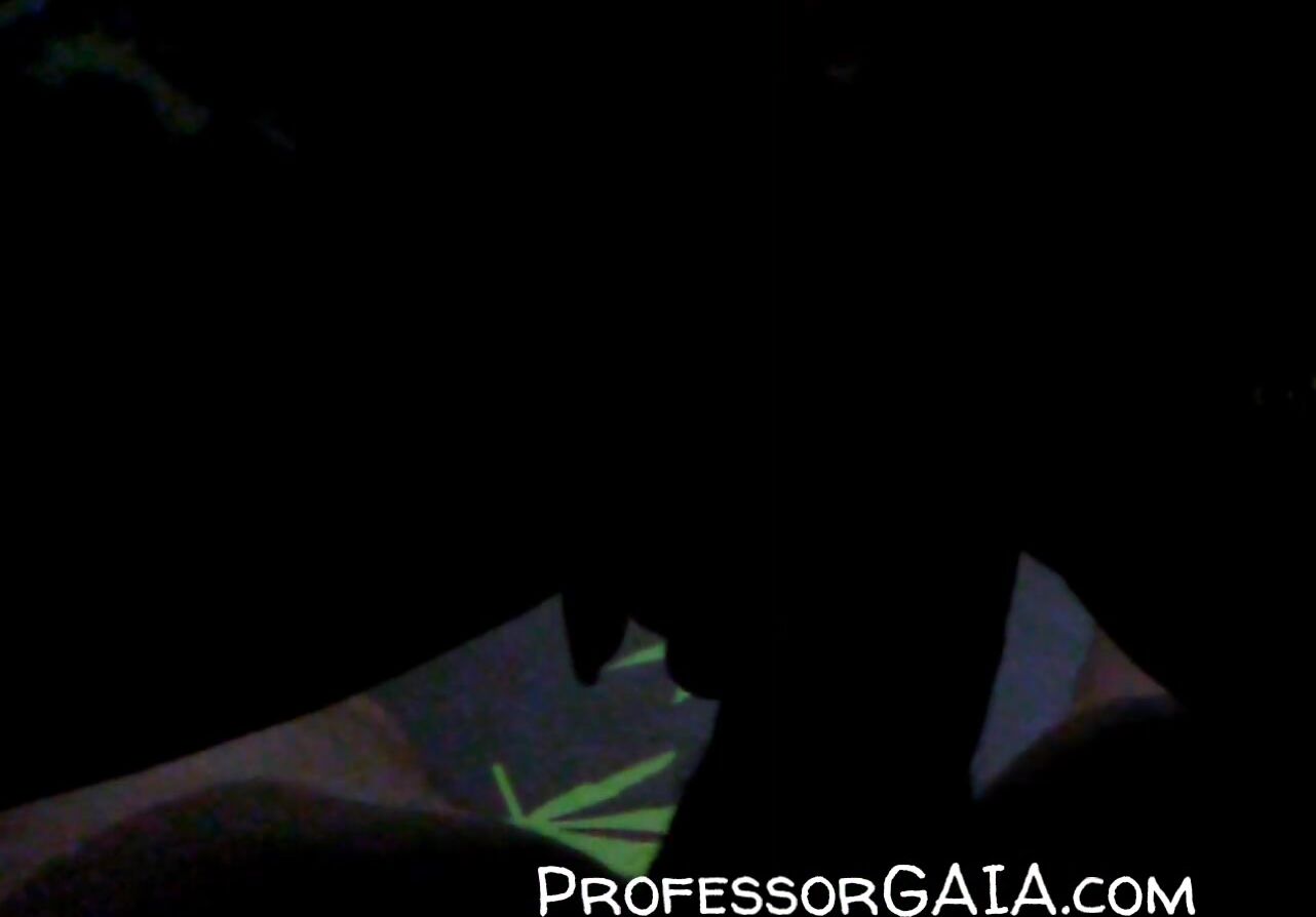 Professor Gaia June East Las Vegas Story Time In Watching