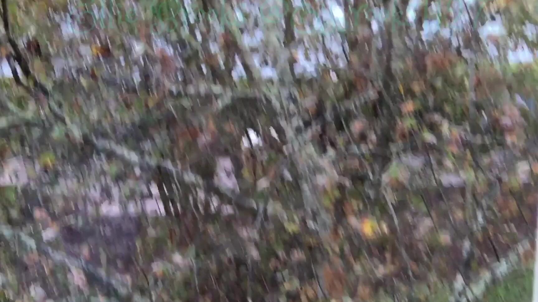 Mrselliebrooks Little Compilation Of Footage I Found On My Macbook Of Me Sucking And Fucking Around The V