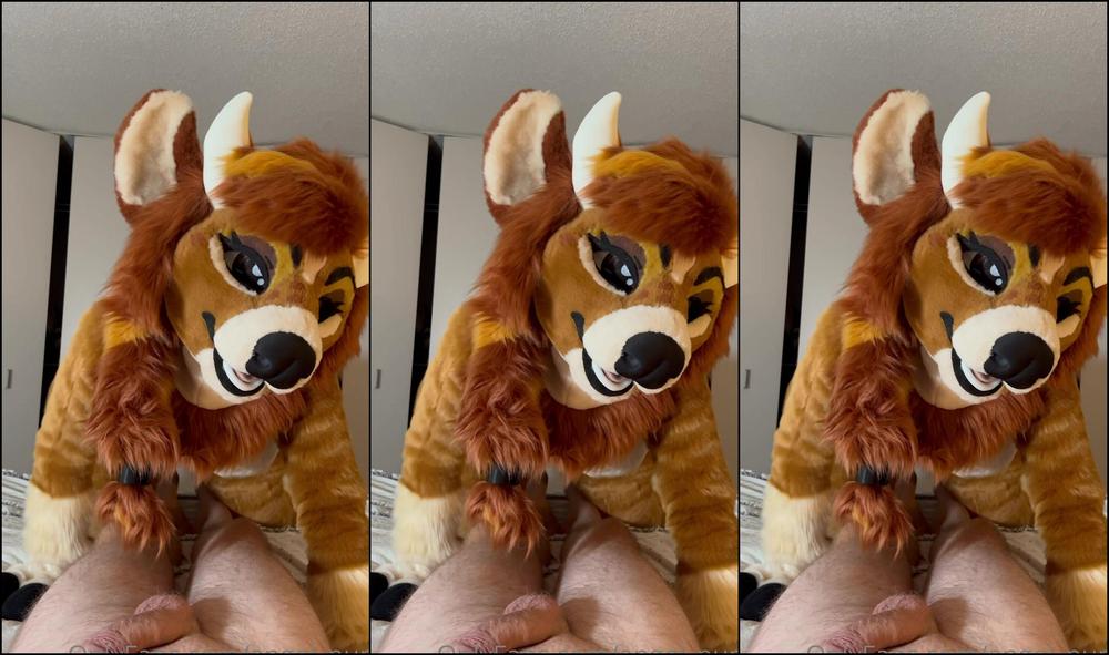 Angel Pups 391936564 Cowgirl Loves To Have Fun 04 F53F701B Dffd 4337 913C Cf5E8Fbf5878