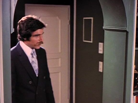 "Irene Wendlin, Marie Forsa, Natascha Verell, Zoe, Harry Reems ..." Feature, Anal Butterflies Monarex Production