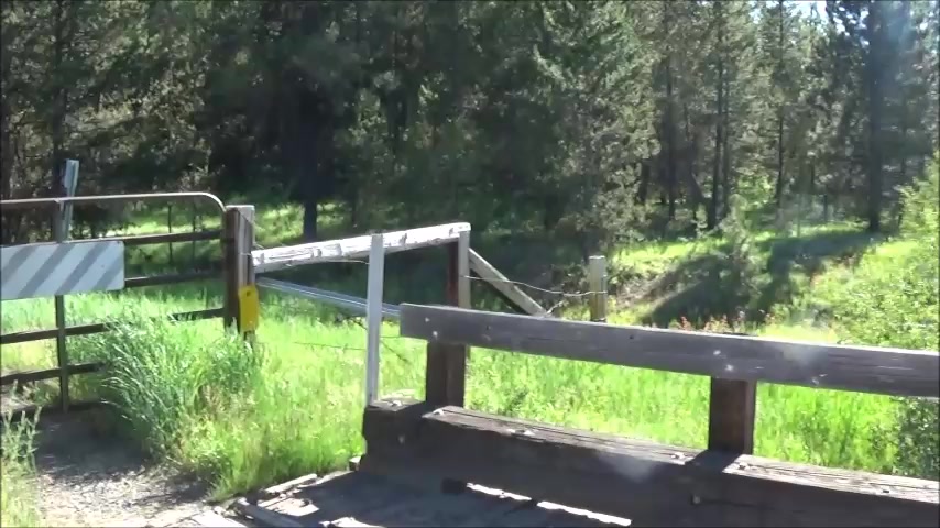 Fucked a plumper in nature and cum in her hollow