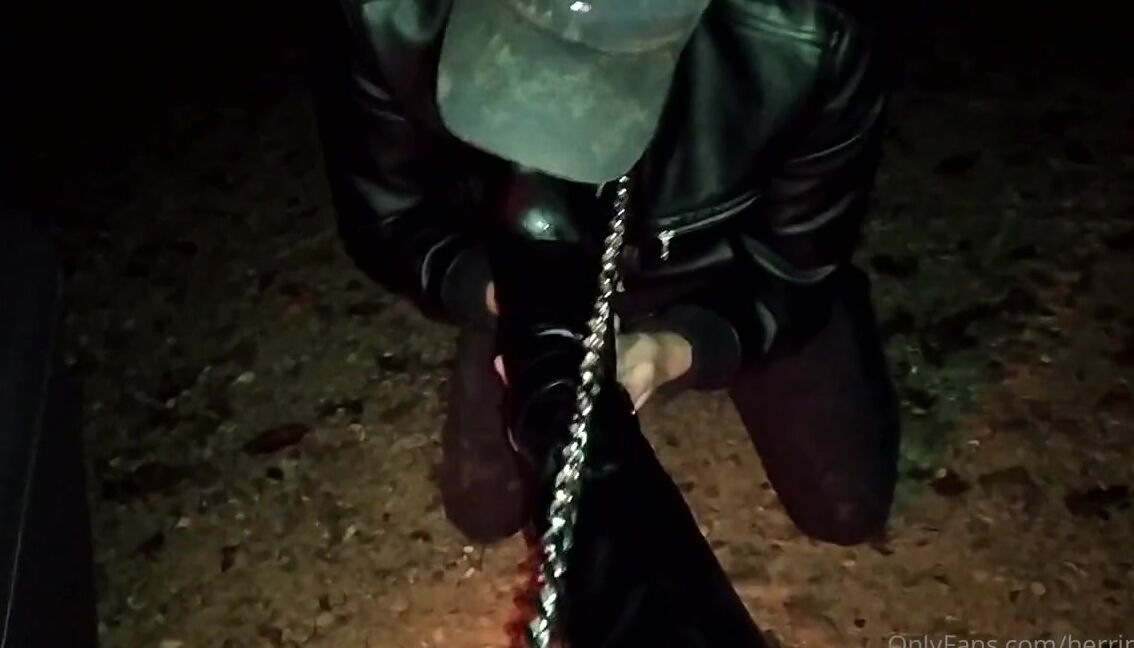 Herrinlady Onlyfans Gassi Mit Dem Lederschwein Teil 2 Von 4 Nachdem Wir Ein Schnen Spaziergang Hatten Waren Meinep