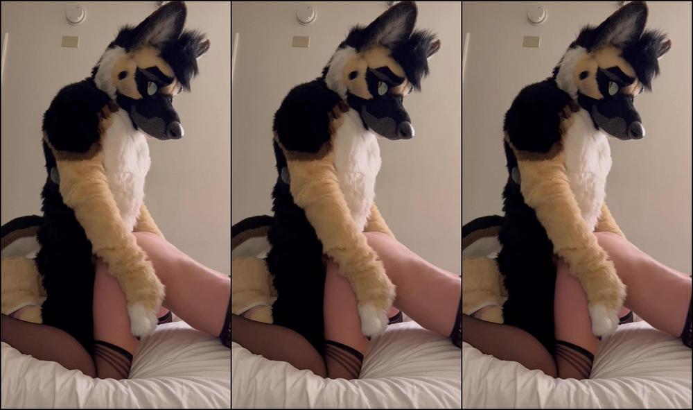 Angel Pups 1139789621 Daydreaming About The Time I Got Railed By A Big Shep Stud 02 0Hr4I6Mu438Uw0S4Xgneb Source