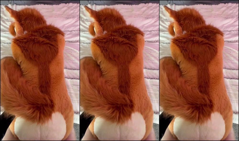 Angel Pups 1561719131 Please Help Me With This Heat 01 0Hyweiwlw6Sr4Z96Vhy9K Source