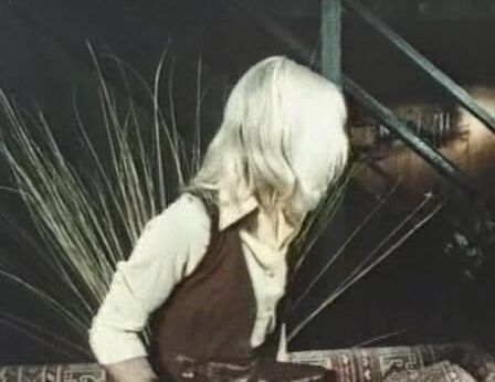 "Angel Burgeon, Brooke Bennett, Dana Moore, Lynx Canon, K.C. Valentine, Danielle, Paul Thomas, Ron Jeremy, Hershel Savage, Don Fernando" Feature Computer Sex Metro