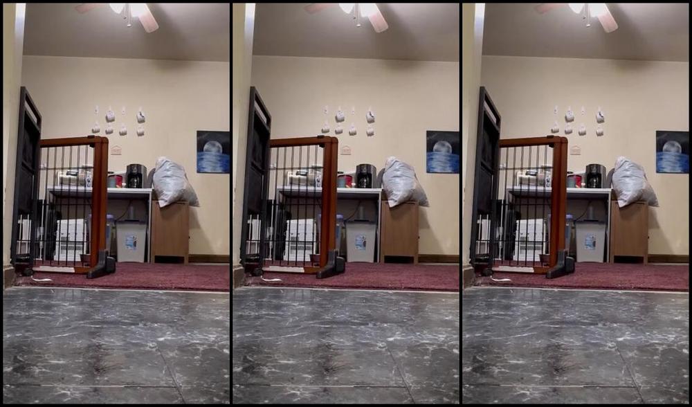 Soldmysolesforink Nicknamed Soldmysolesforink 12 02 2023 Onlyfans Video A Smidge Late Cause This Friday Was Full Of Errands 0Xjj