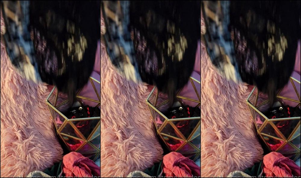 Itsmekittylee1 2485384316 06 11 2022 The Count The Winner Was Chosen By Who Was The Closest Guess All Guesses Were Over