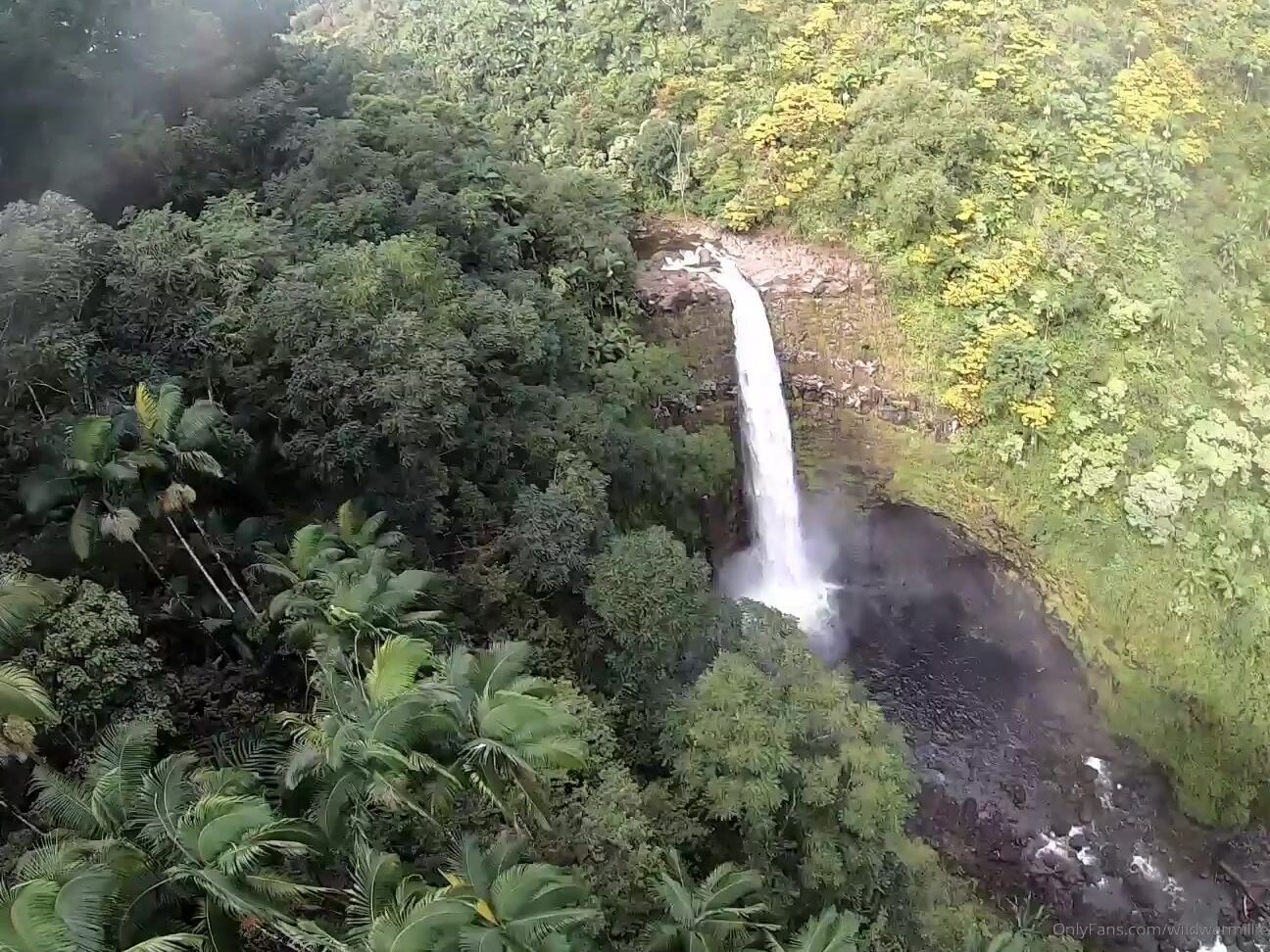 Wildwetmillie Ziplining In Hawaii It Was My First Time Ever Ziplining So I Was A Little Scared But It W