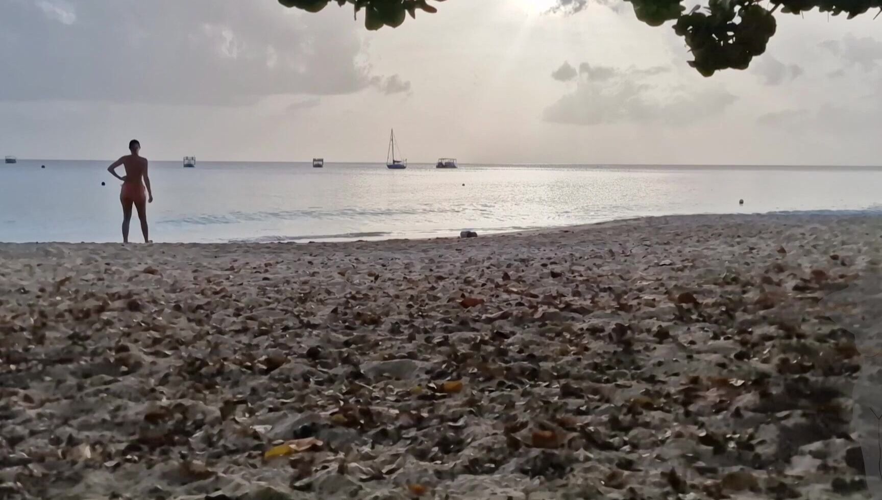 Travelling Peach 3290092109 04 23 2024 I Did Flash At The End But It Was Too Dark Under The Tree