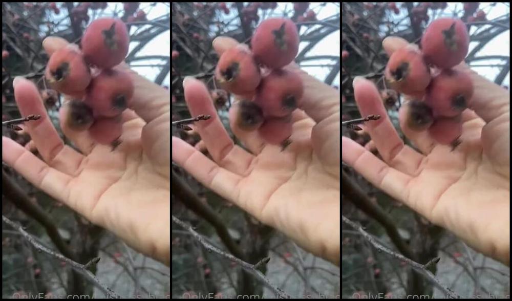 Mistress V Black Nicknamed Mistressvblack Onlyfans In Zurich Whats This