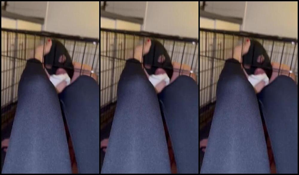 Goddessluna26 02 05 2025 Onlyfans Video Man Kann Sich Auch Anstellen Wird Doch Nicht So Schwer Sein 2 Socken Zu Fressen