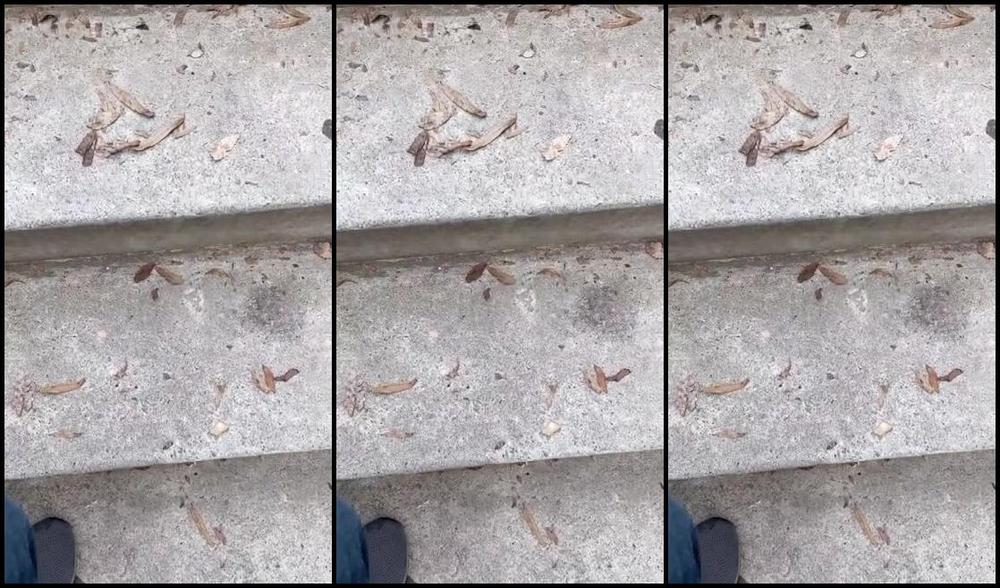 Atasteoftaboo Nicknamed Atasteoftabo O 11 20 2023 Onlyfans Video Uncandidlycandid Blatantfootperving Hospital Cna Soles Cold Approach Win Bts01 X9Dt