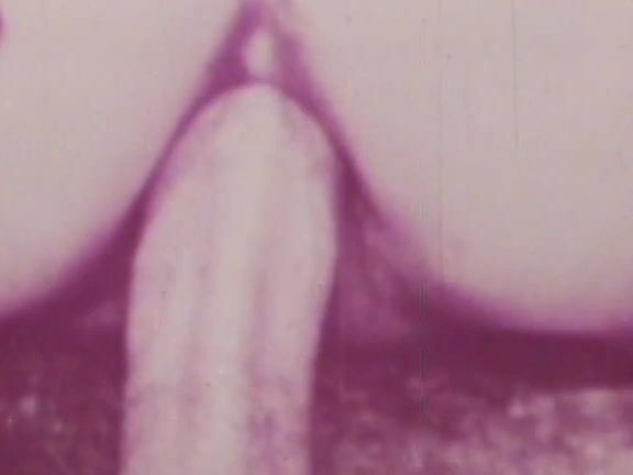 "Mix"  Classic Girls In Paradise_3 SiteRip