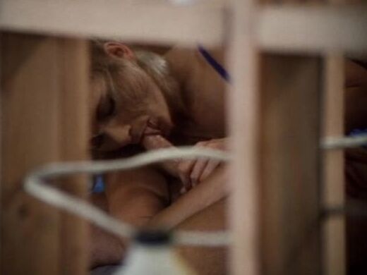 "Vanessa del Rio, Jerry Butler, D.J. Cone, Billy Dee, Luis De Jesus, Tiffany DuPonte, Nina Hartley, Mike Horner, Dan T. Mann, Lili Marlene, Jon Martin, Melissa Melendez, Francois Papillon, Taija Rae, Dick Rambone, Rick Savage, Scorpio, Joey Silvera, 