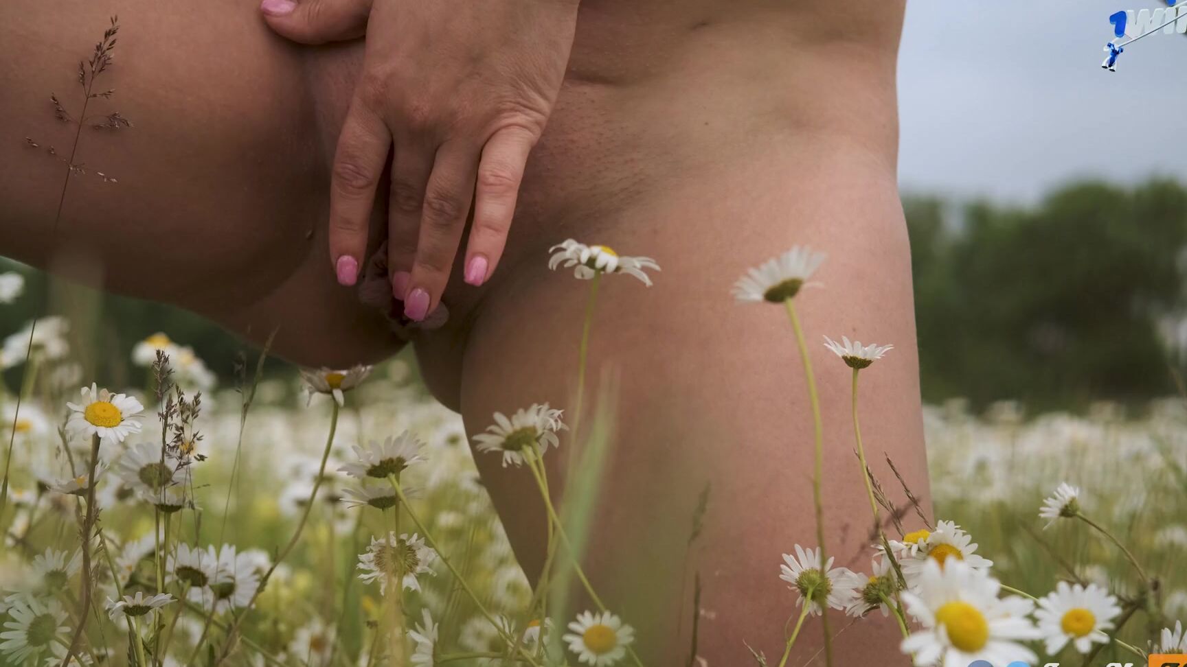 Public Sex In Nature On The Chamomile Field Milfs Sensual Blowjob