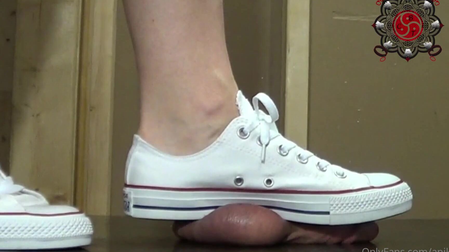 Anikacbt Cute Sneakers