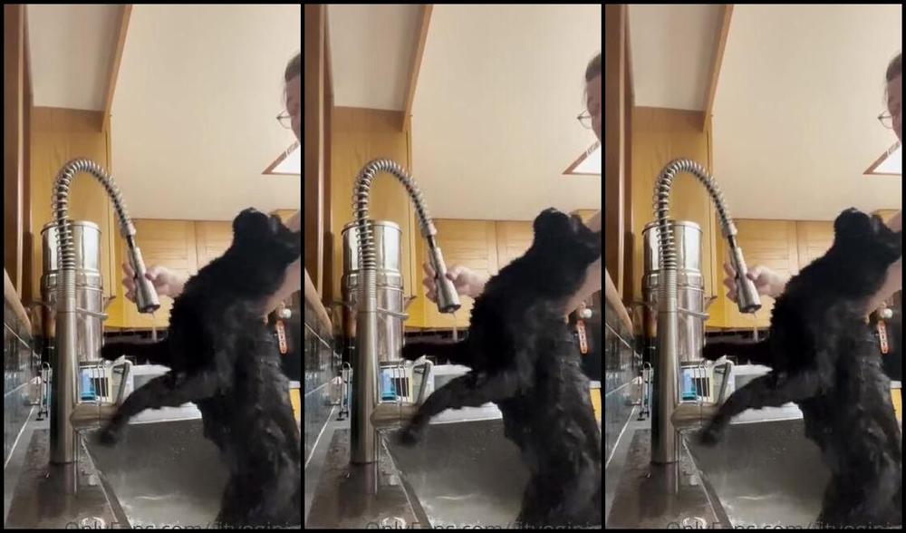 Nina Aka Fityoginina Onlyfans Fleas Like Omg What A Nightmare Because Apparently This Move Was Going Too Smooth Honestly I T 3