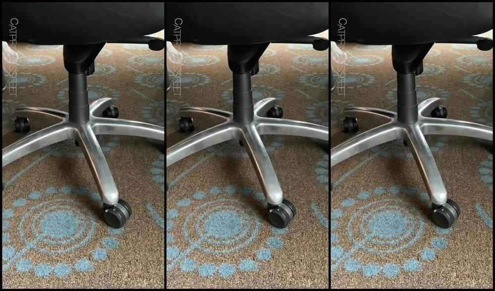 Catprincessfeet Onlyfans At The Office Out To Defeet The World