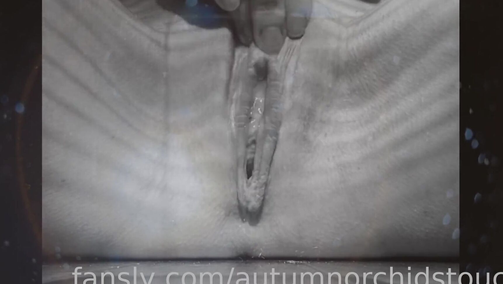 Autumn Orchid 635219029455286273