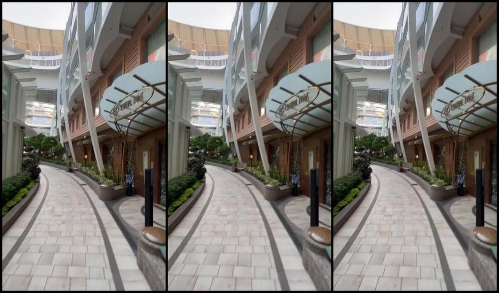 Longtoesally Nicknamed Longtoesally Stormy 04 24 2025 Onlyfans Video Central Park On The Cruise Of Aug 2024