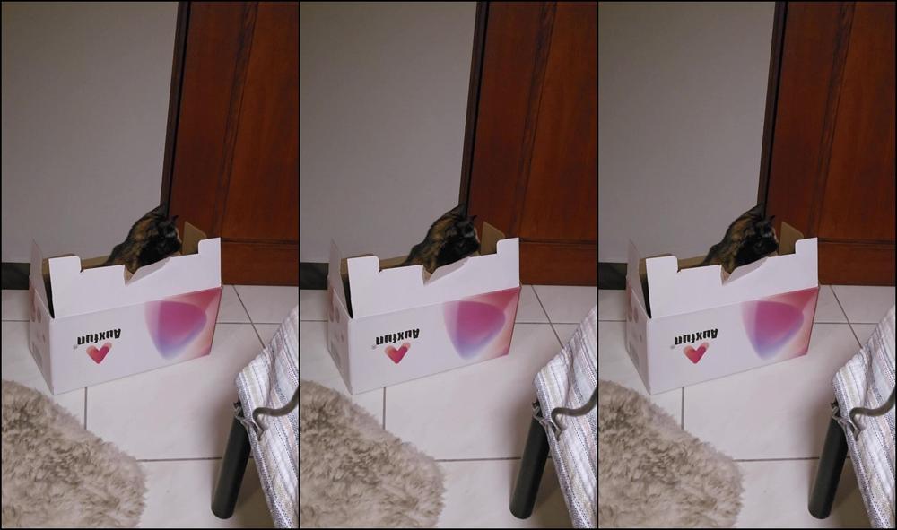 Your Submissive Doll 3535849864 10 24 2024 Things Are Going Smoothly So Far