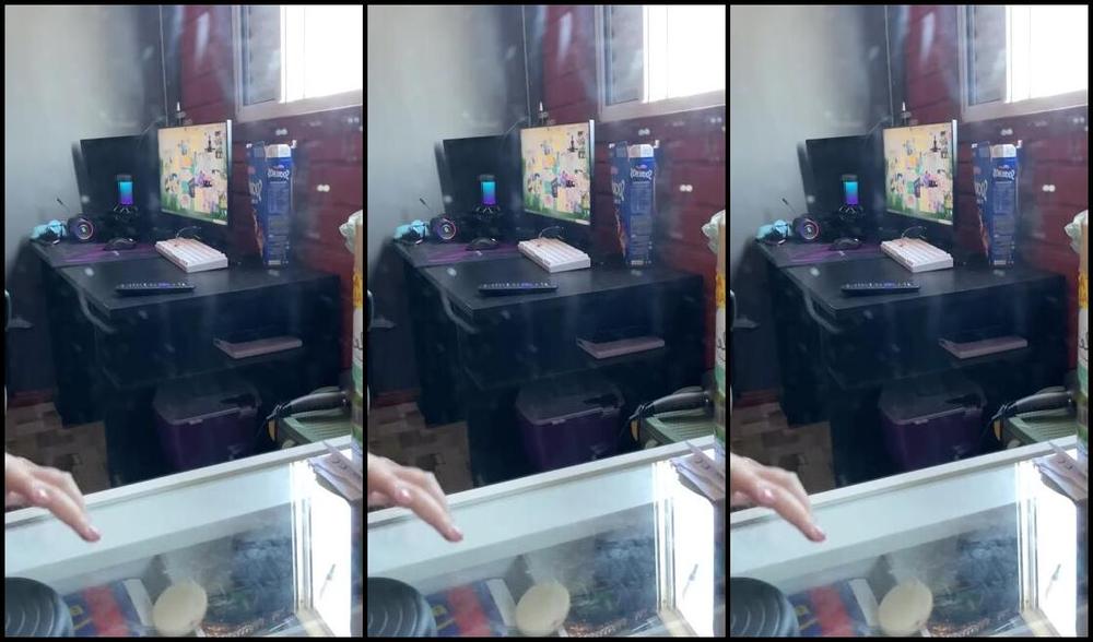 Goddess Ana Nicknamed Urfeetgirlofc Foot Fetish 07 03 2023 Onlyfans Video Recording Content For You