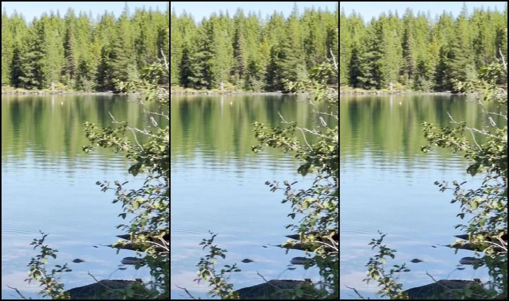 babykaitt 03 10 2023 565466171743150080 want to see all the sneaky fun realshyyguyy i had in the tetons this was my first time Fansly