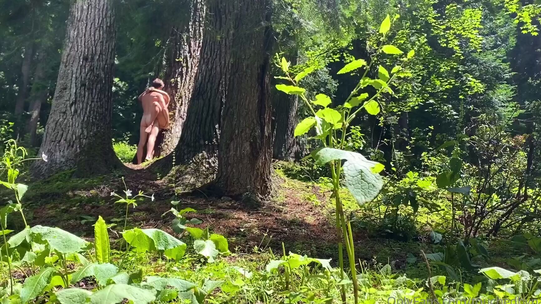 0H9Rysea3Eeusviykns63 Source