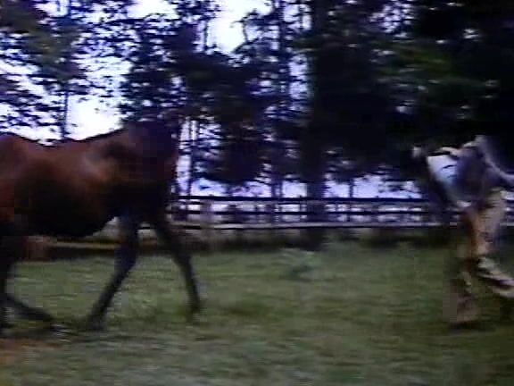 "Mix"Sexo a Cavalo 1, 2_2 SiteRip