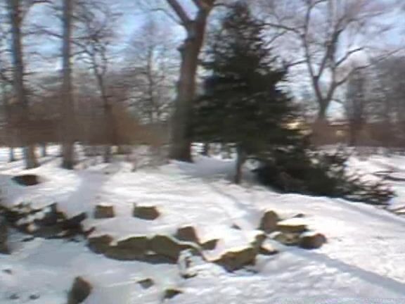 Public Invasion 023 Shy girls have more fun 29-03-06 Public Invasion