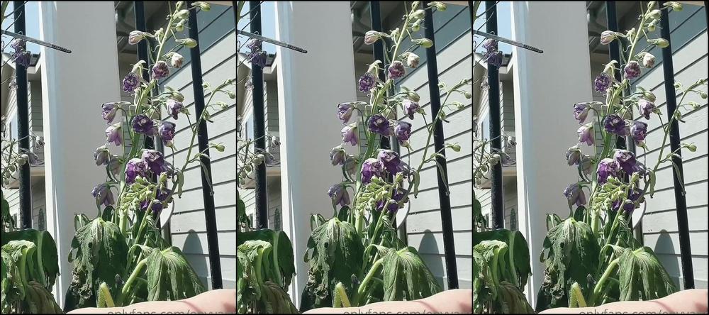 Envyanne I Hope Y All Don T Mind Me Sharing So Much Personal Stuff I Enjoy Showing You Thing