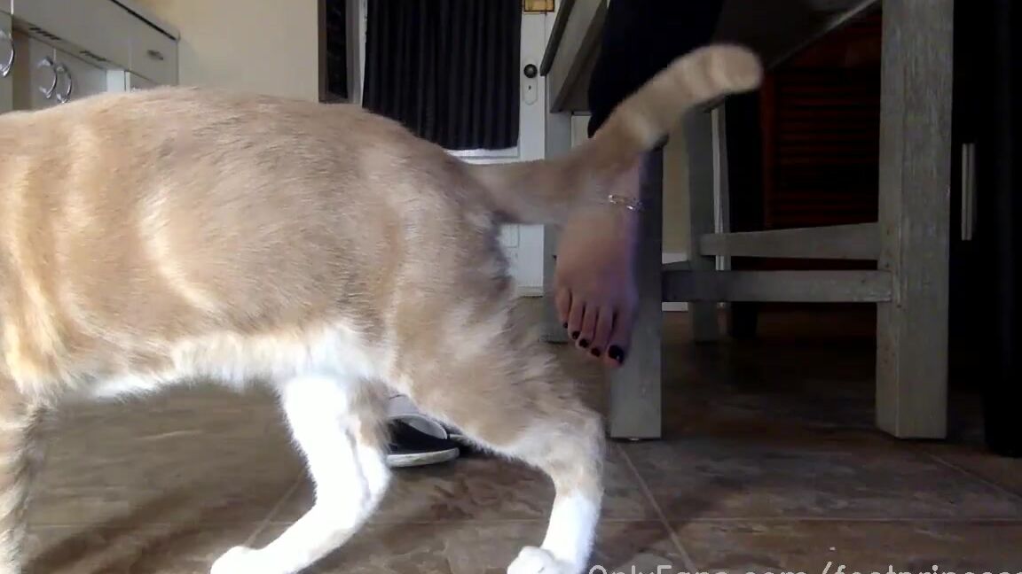 Footprincessx1 Nicknamed Footprincessx1 Onlyfans Stream Started At 12012022 0246