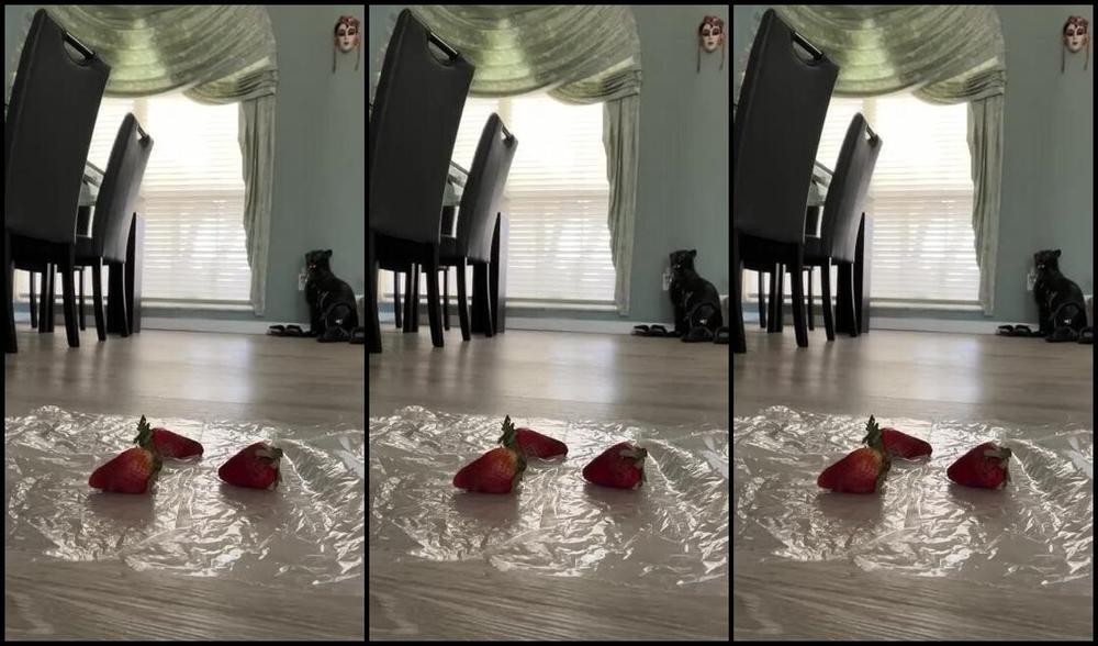 Nicolethedivine 04 07 2025 Onlyfans Video Thought Id Be Fun To Crush Some Strawberries With The Pointiest Heels I Own What