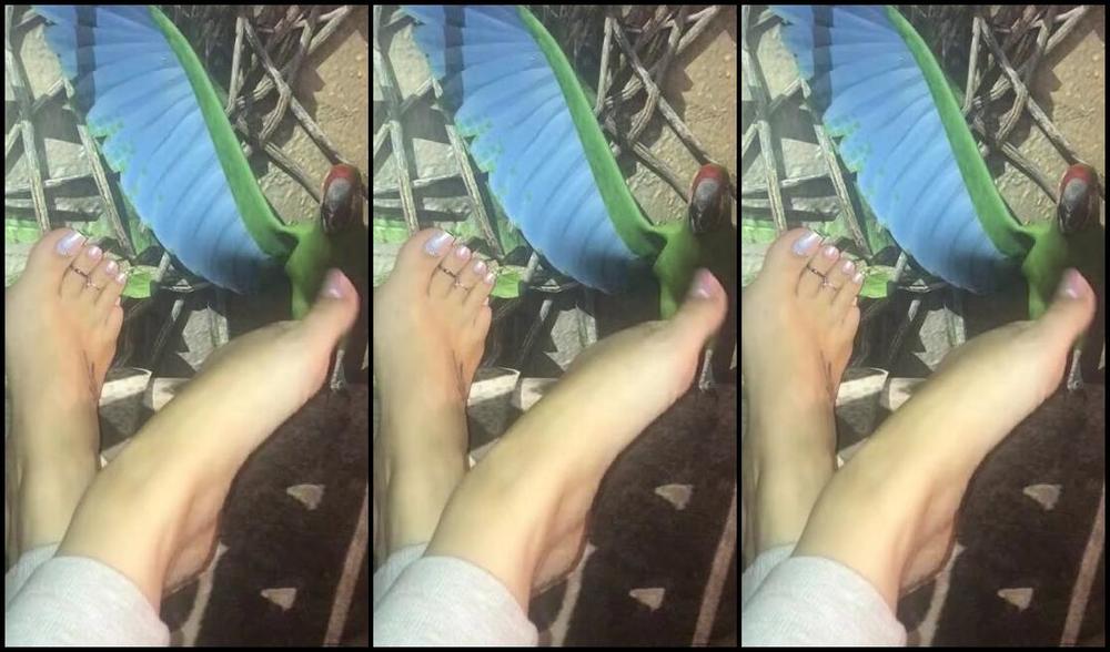 Footsiegalore Onlyfans What Draws Your Eye More The Crazy Hotel Room Or These Cute Toes