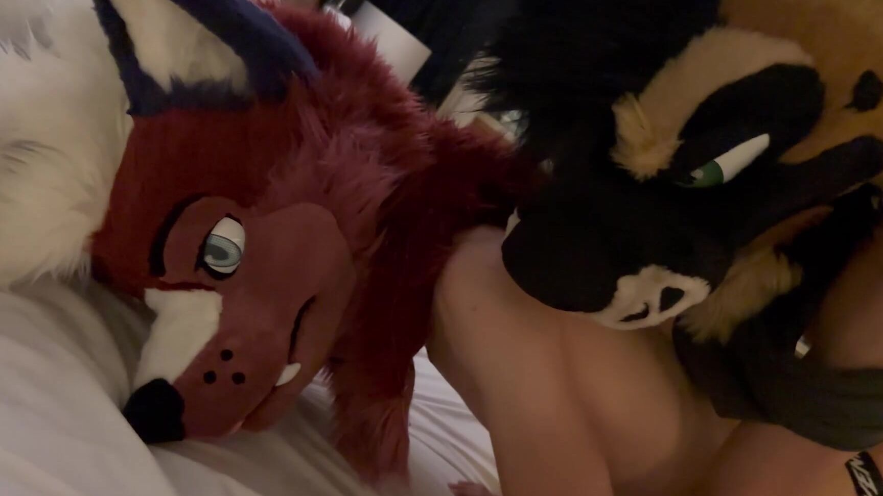 Palacewolf 903956462 Skitfull Video The Interview First Day On The Job Watc 01 0Hm4Z5Zmgwidevkq3R0Br Source