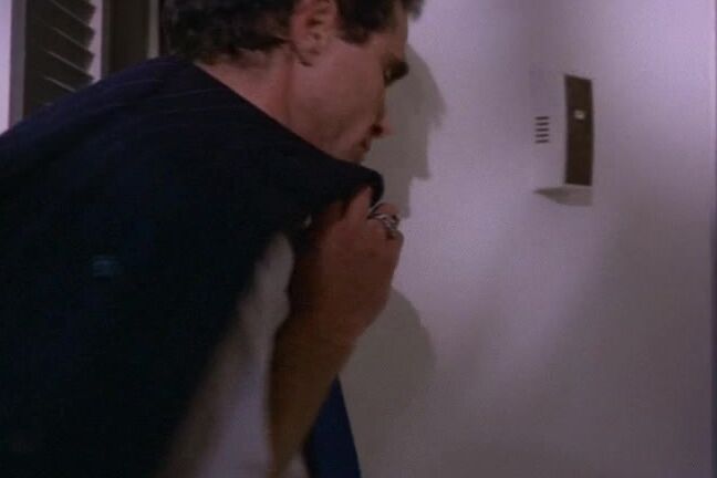 "Vanessa Del Rio, Samantha Fox, Arcadia Lake, Georgina Spelvin, Georgette Sanders, Debbie Revenge, Eric Edwards, Merle Michaels" classic Babylon Pink winvan productions