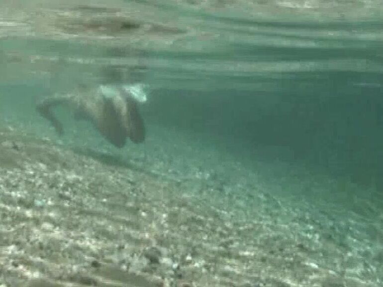 Nataliablondinkova Naked Scuba Girl