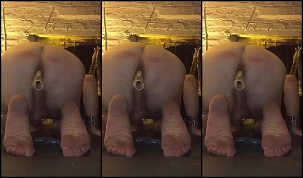 Vivienne L Amour Aka Vlproductionsuk Onlyfans Plugged And Punished