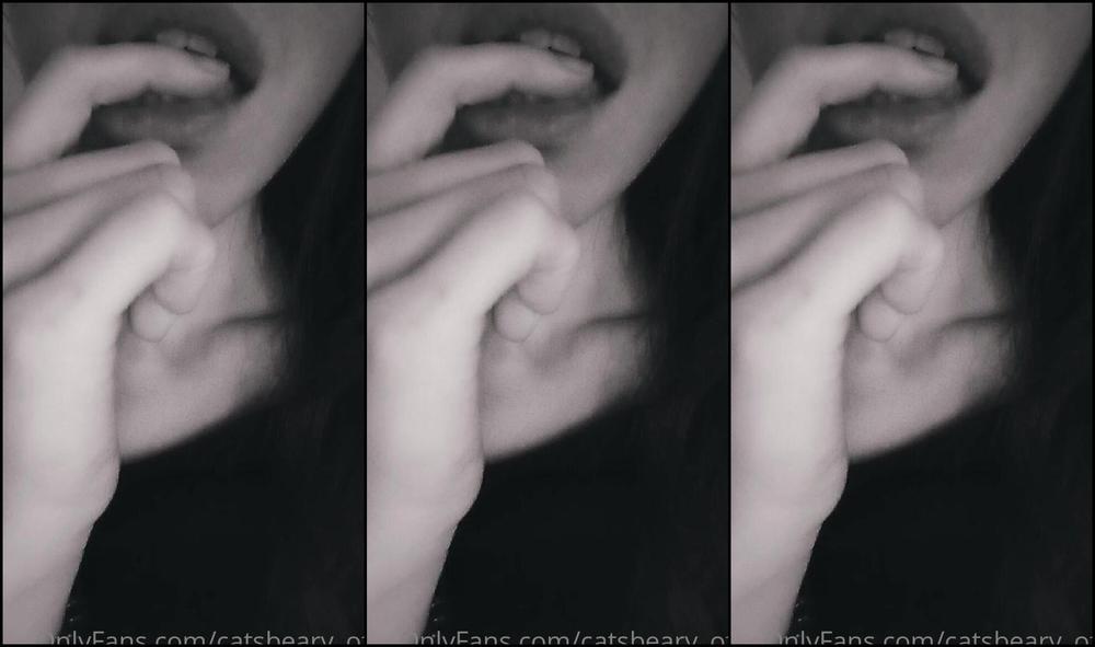 Catsbeary 2430123909 04 19 2022 311360749