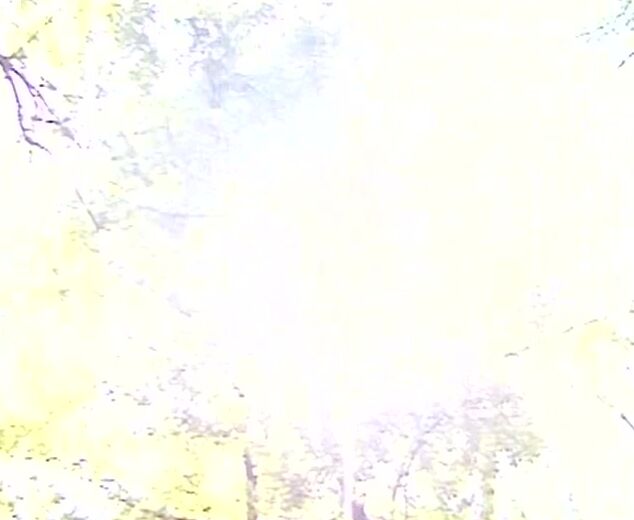 all sex, golden shower, pissing, blowjob, lesbian, urin drink, oral, masturbation Urin Hexen Nr.1 - Auf Samenjagd SG-Video