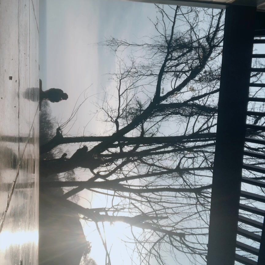 Monawalesxxx 71152628 10 14 2019 7720815